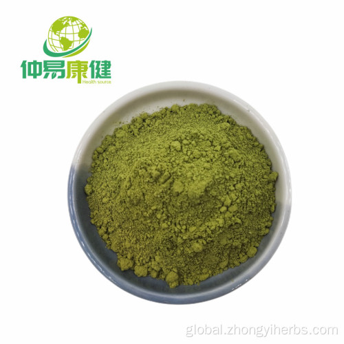 China Organic Matcha Tea Powder Green Tea Factory